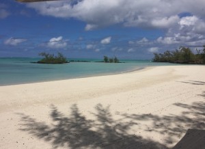 Beach _ Pool - Ile Aux Cerfs pvt beach 09    