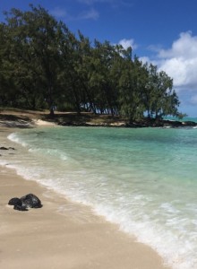 Beach _ Pool - Ile Aux Cerfs pvt beach 13    