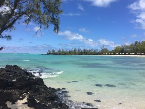 Beach _ Pool - Ile Aux Cerfs pvt beach 14    