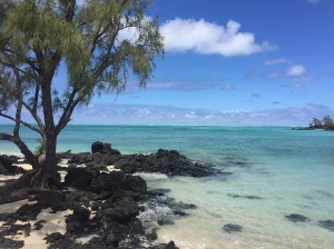 Beach _ Pool - Ile Aux Cerfs pvt beach 15    