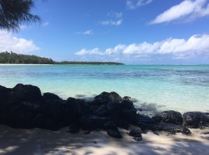 Beach _ Pool - Ile Aux Cerfs pvt beach 16    