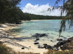 Beach _ Pool - Ile Aux Cerfs pvt beach 17    