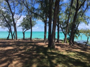 Beach _ Pool - Ile Aux Cerfs pvt beach 20    