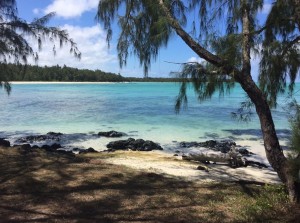 Beach _ Pool - Ile Aux Cerfs pvt beach 21    