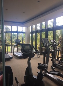 Fitness _ Wellbeing - 1 gym 2  