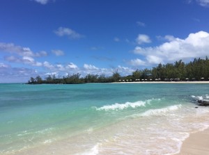 Home 11 - Beach _ Pool - Ile Aux Cerfs pvt beach 3               