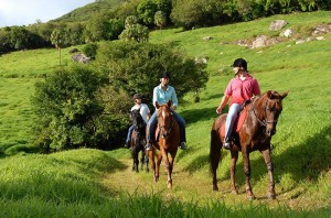 Offsite activities - 1 Domaine D'Etoile 3 horse riding  